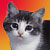 :iconteresazart: