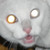 :iconteresito-superstar: