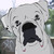:icontergran: