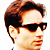 :iconteridragon: