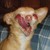 :iconterimkel3: