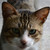 :iconterin814: