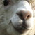:iconterkoiz12: