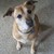 :iconterminallyalive: