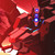 :iconterminator98: