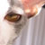 :iconterms-of-endearment: