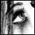 :iconterpsychora86: