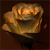 :iconterquin: