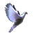 :iconterra-dea: