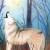 :iconterra-fyde: