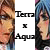 :iconterra-x-aqua: