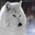 :iconterrasparrow:
