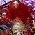 :iconterregrine:
