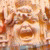 :iconterrestris: