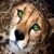 :iconterribleme: