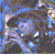:iconterror-timmon: