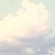 :iconterrorbird: