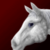 :iconterrorer1: