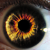 :iconterry16389: