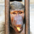 :icontertius: