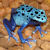 :iconTeryx:
