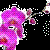 :icontessa-leigh: