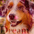 :icontessinapple:
