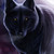 :icontesstenebris: