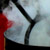 :icontestanimal: