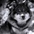 :icontethys75: