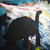 :icontevallan1: