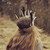 :icontevase: