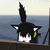 :icontewixyayxplz: