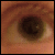 :icontexa5: