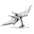 :icontexadactyl: