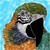 :icontexasherbst: