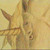 :icontexhorselady: