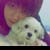 :icontfany:
