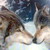 :icontfawolf: