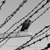 :iconth3natoorat: