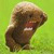 :iconthabitt: