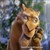 :iconthaddeus-leingod: