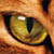 :iconthadevilseye: