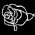 :iconthalia-vera: