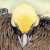 :iconthaliaangel91: