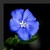 :iconthaliariddle: