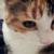 :iconthamariel: