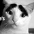 :iconthanam84:
