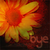 :iconthanh83199: