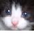 :iconthank-youforthevenom: